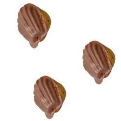 PETITE NOISETTE - lot de 100gr